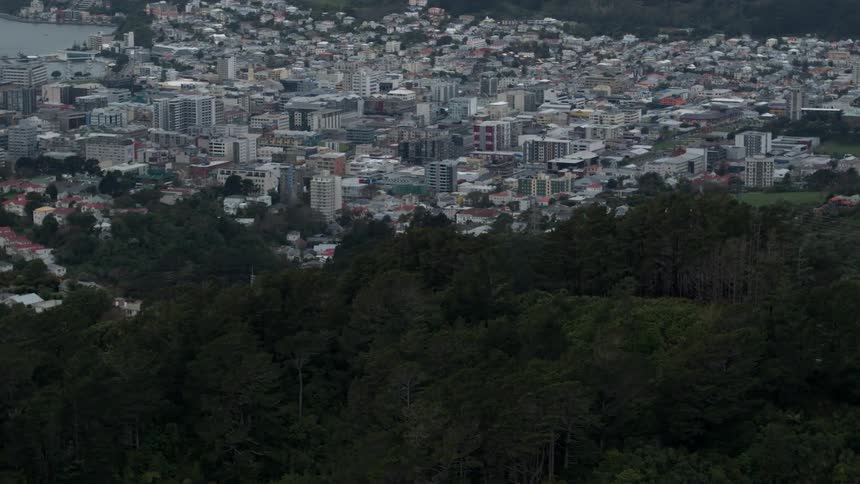 Trees cover the hill behind a coastal town