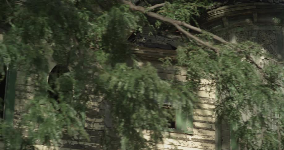 A tattered building is covered by a large tree
