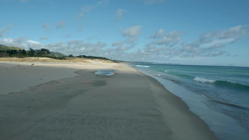Birds fly off from a beach on a sunny day