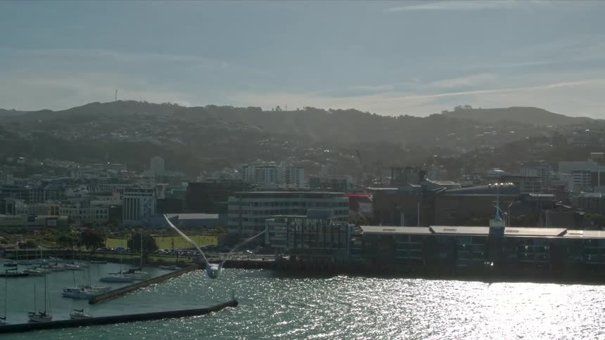 The birds are flying over the water near the docks by the city