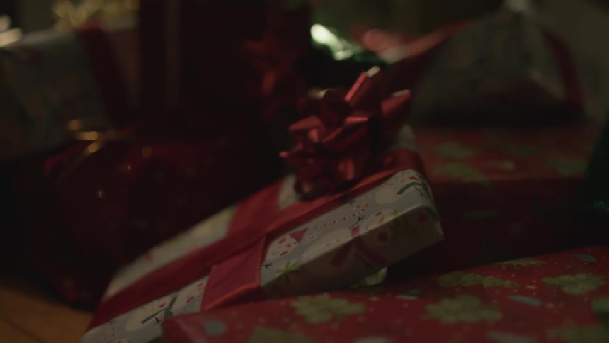A present is placed under the tree