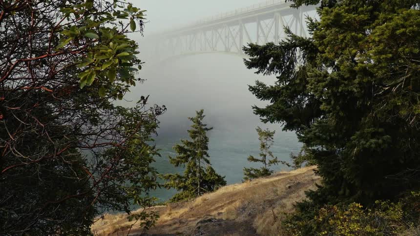 Fog over water and a bridge