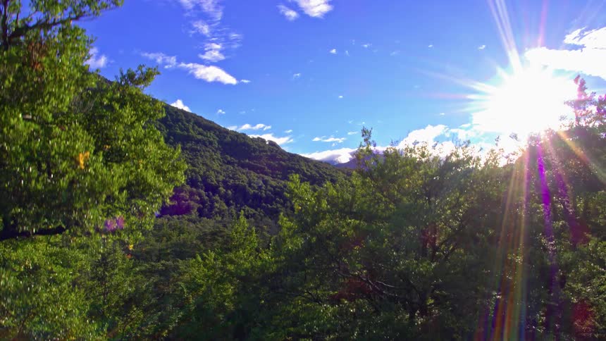 Rolling hills covered in trees