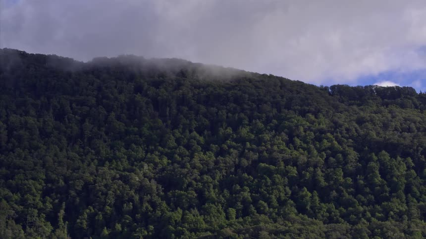 Clouds and fog drift over a forest covered hillside during the day