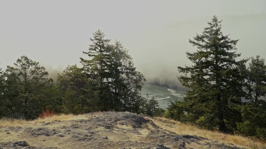 The ocean is filmed from the top of a hill