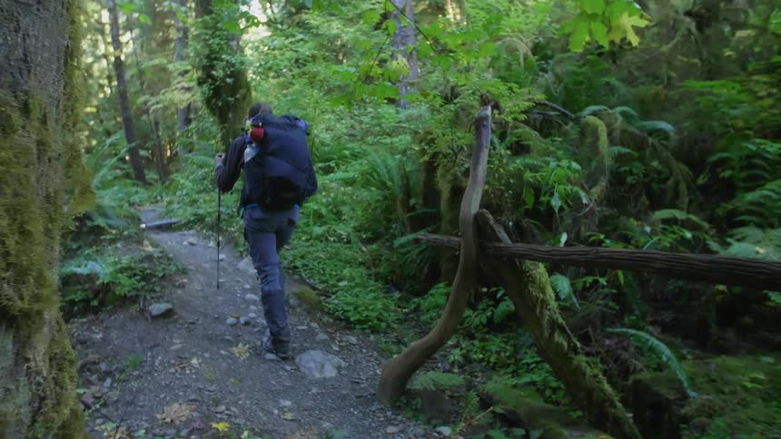 A woman walks up a hiking trail in the dense forest