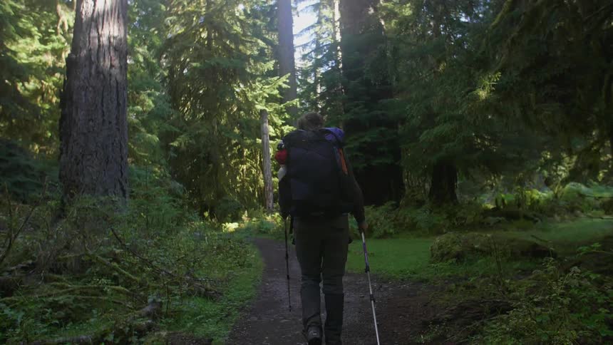Person wearing a backpack uses walking sticks to walk through the woods