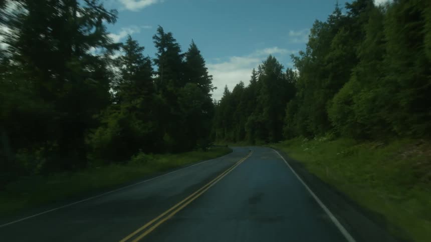 A two lane highway cutting through a forest