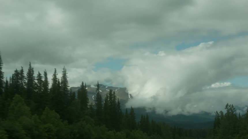 Clouds are gathering over a mountain range and pine trees
