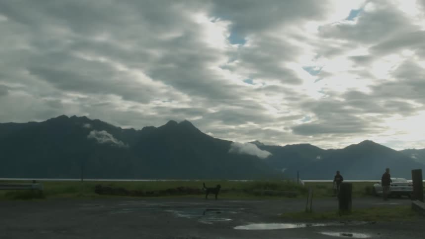 A person walks over to his dog on the field