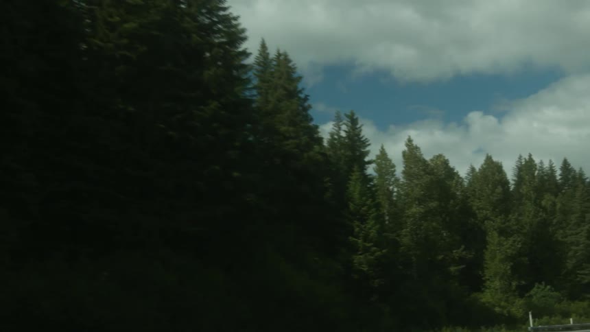 Clouds hang over mountain peaks and forest