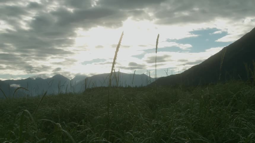 A green hillside overlooking a valley