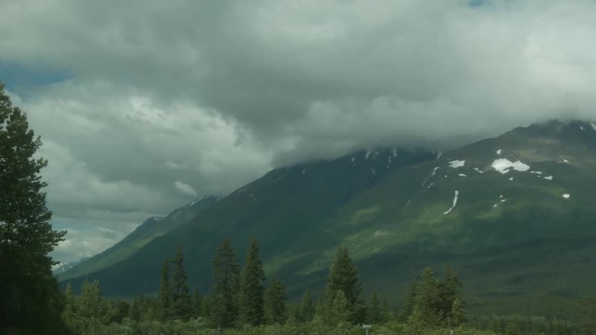The forest has heavy clouds above