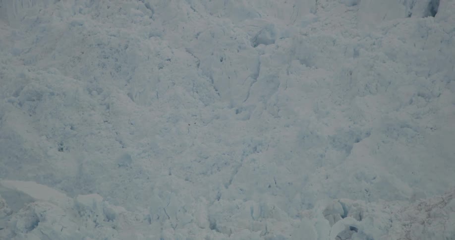 The iceberg is very white with birds flying past