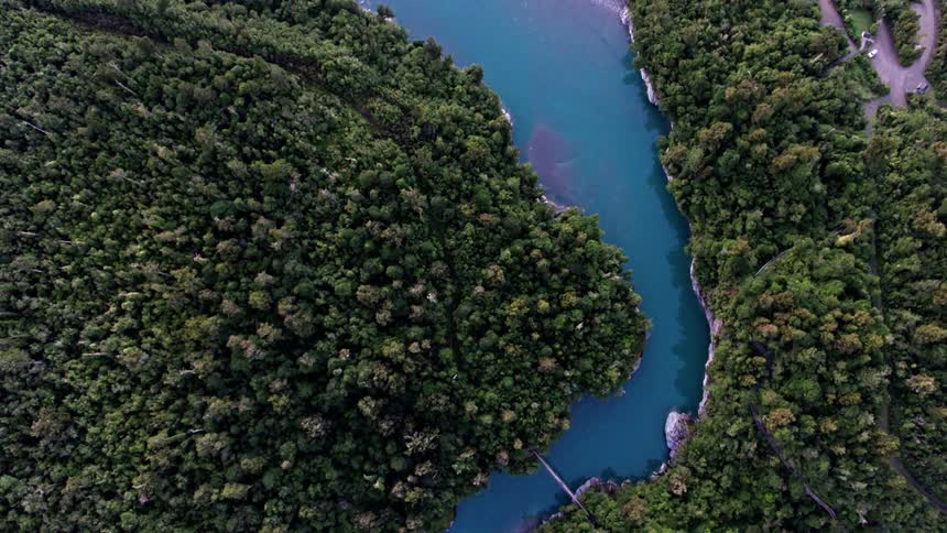 A river is flowing through a dense forest