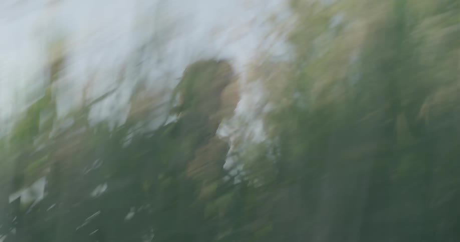 Man runs through tall grass
