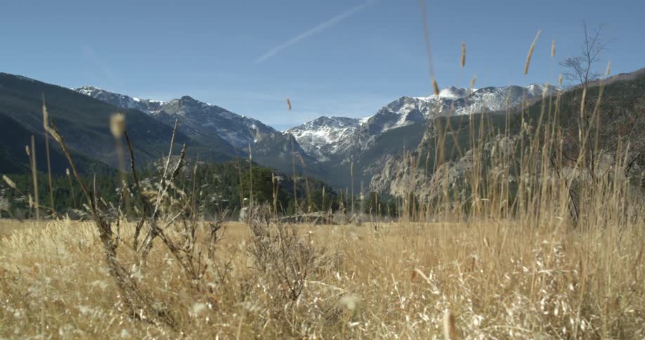 A golden field of grass with mountains in the background