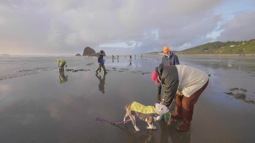 Dog approaching a worker on a beach on a cloudy day