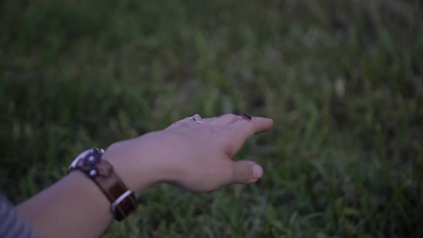 Woman holds a glowing firefly on her hand