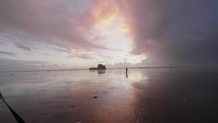 A person is walking their dog on the beach at dawn