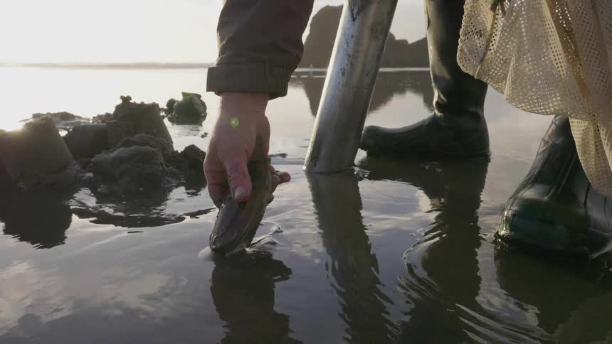 A man is digging in the mud with a tool