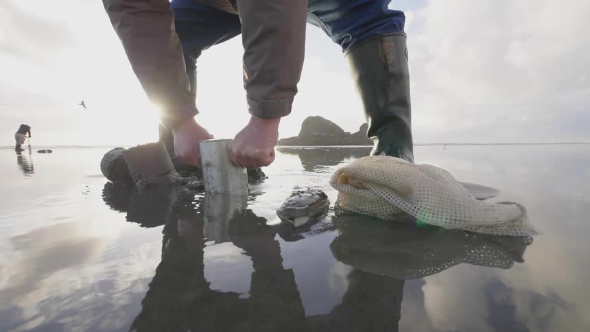 Person puts metal tube down into sand in shallow water