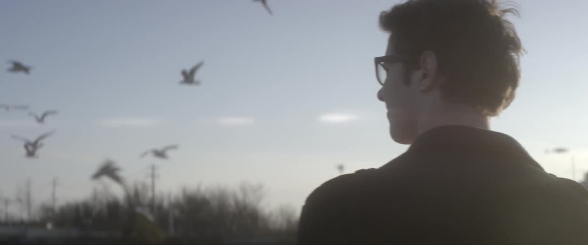 A turns around looking at a harbor during the day as birds fly about him