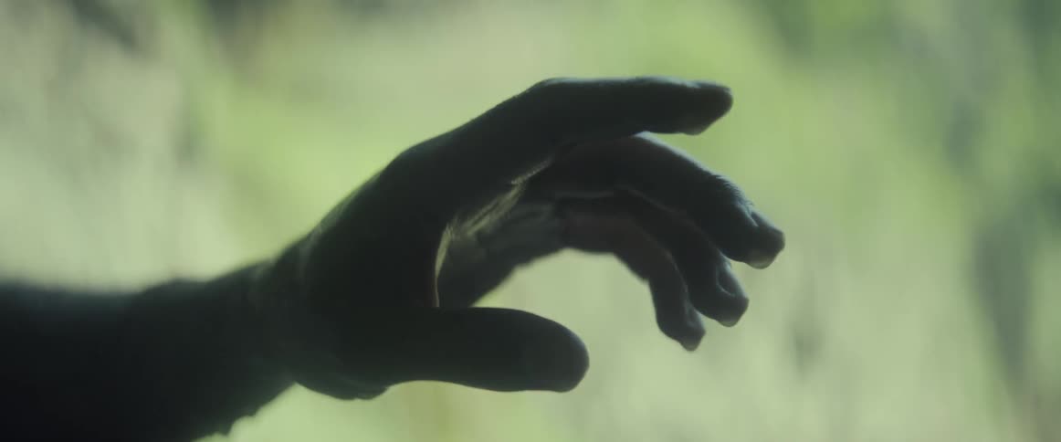 Water dripping off of a hand