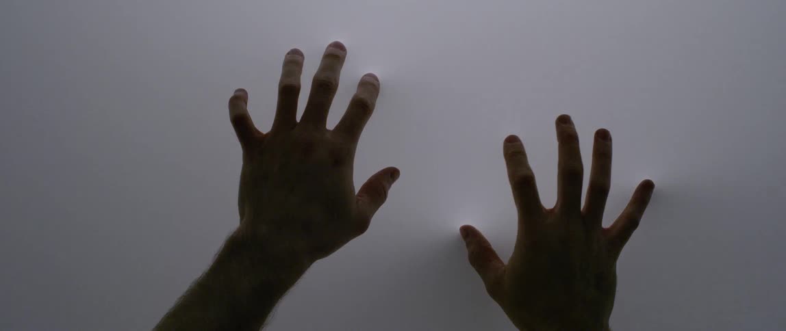 Hands reach out to press and touch a wall