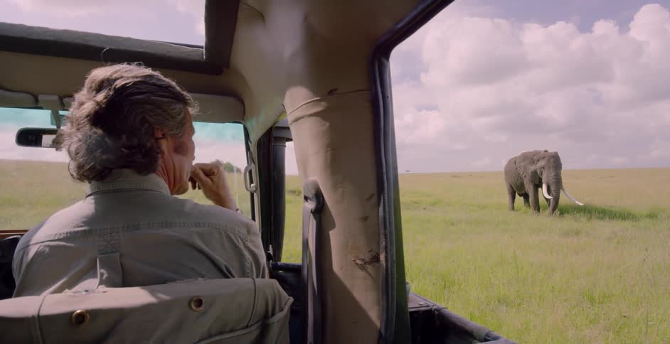 Man sitting in a jeep looks out at an elephant