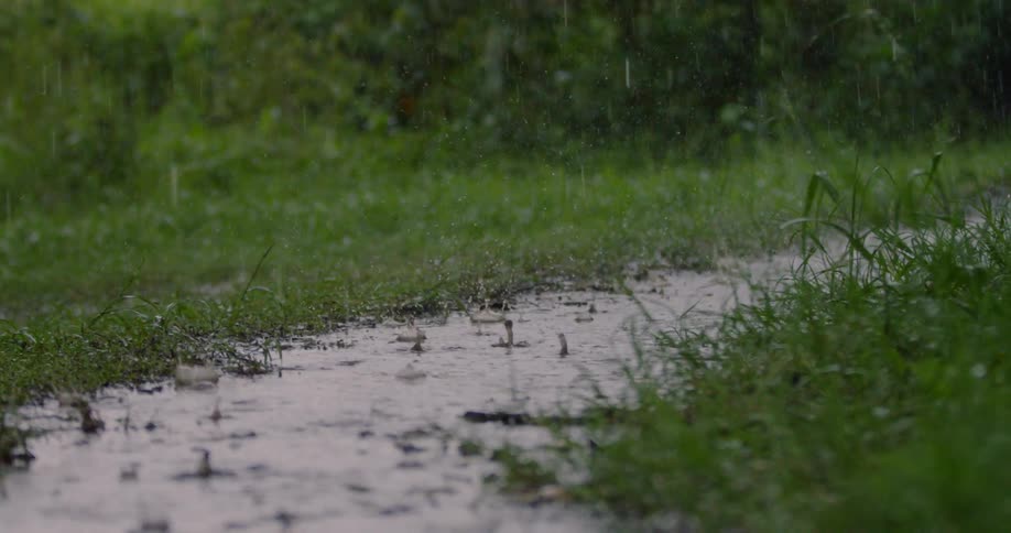 It is pouring over this small trail near the woods
