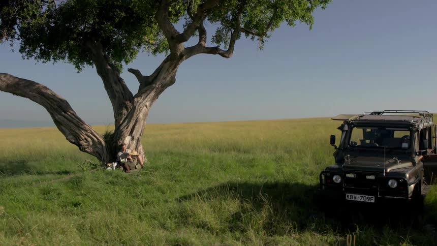 Two vehicles under a tree