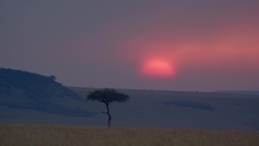 The sun sets over a savanna