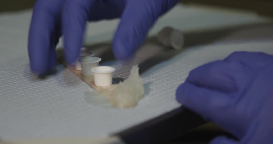 A person working in a lab