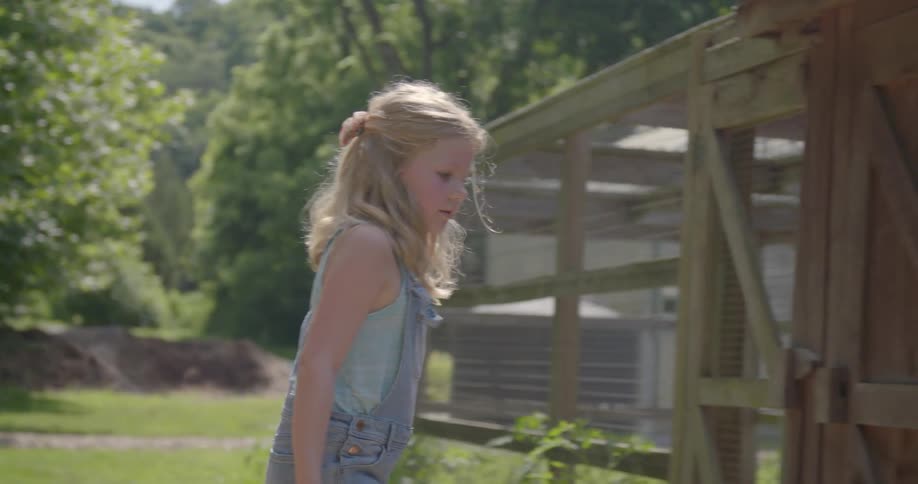 A girl throws feed on a farm
