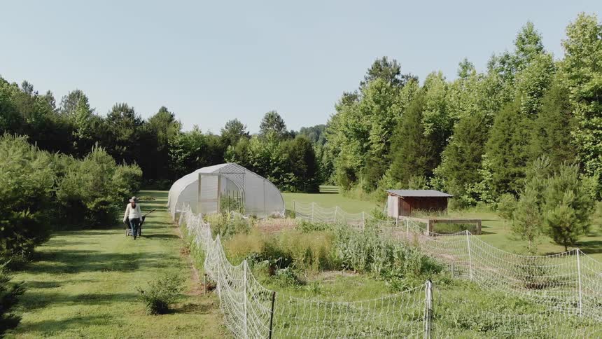 A woman is pushing a wheelbarrow through a garden during the day
