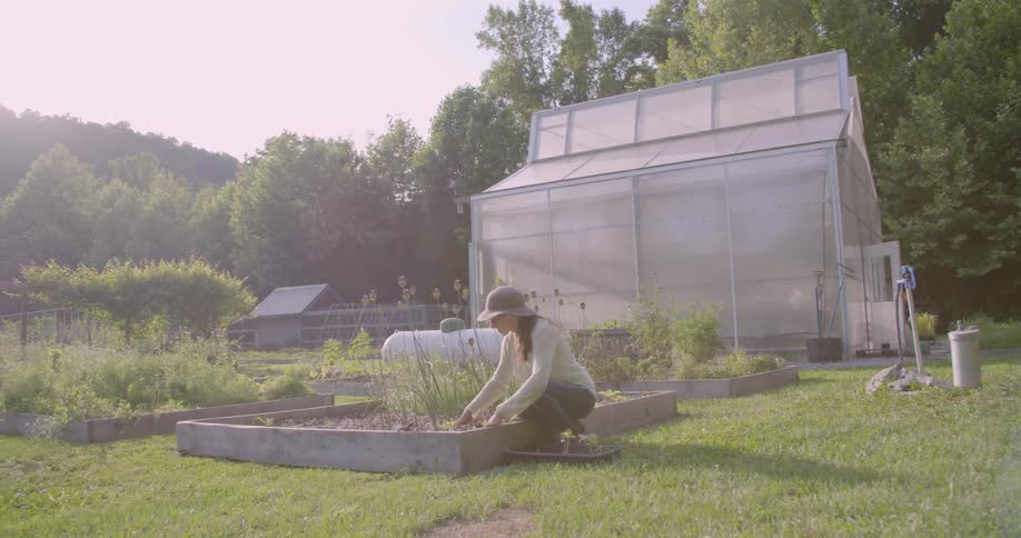 A woman works in a garden