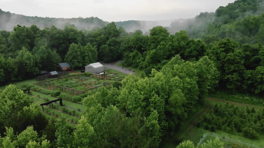 Trees surround a rural farm