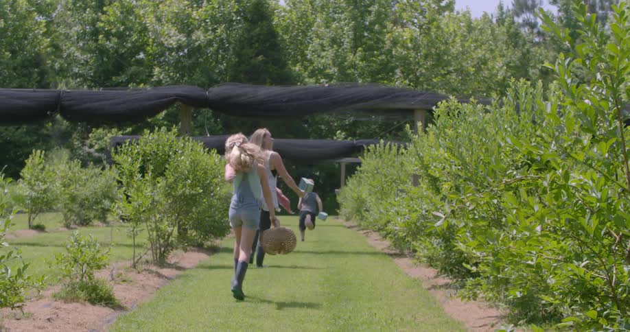 Two playing children and a woman walk through a garden during the day