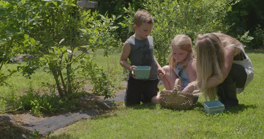 Woman and two children look into a brown basket and take something out