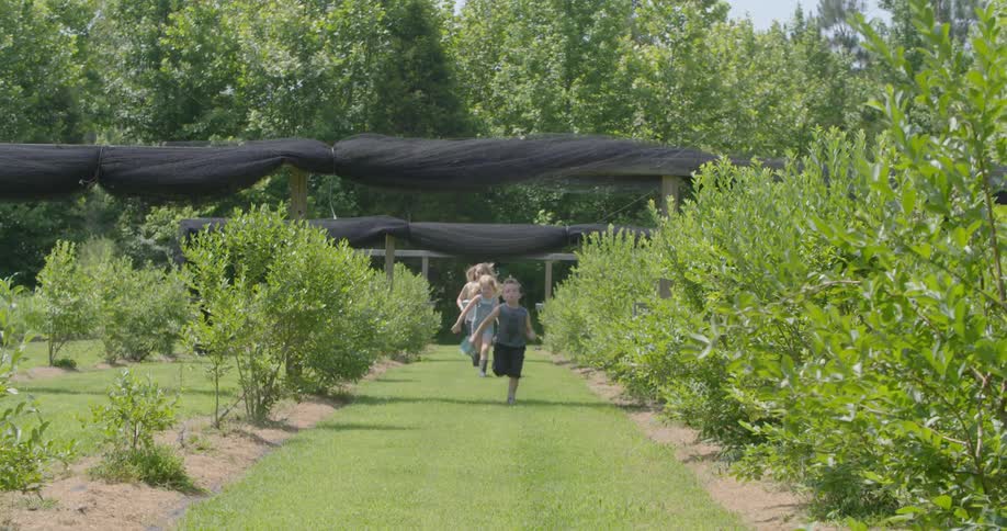 A woman and two children run through the garden together quickly
