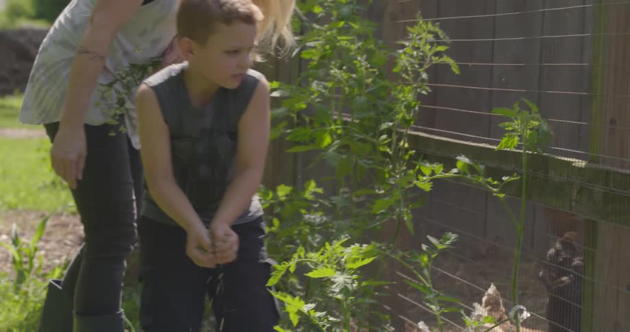 A young boy is getting food from a bucket and throwing it into the chicken coop