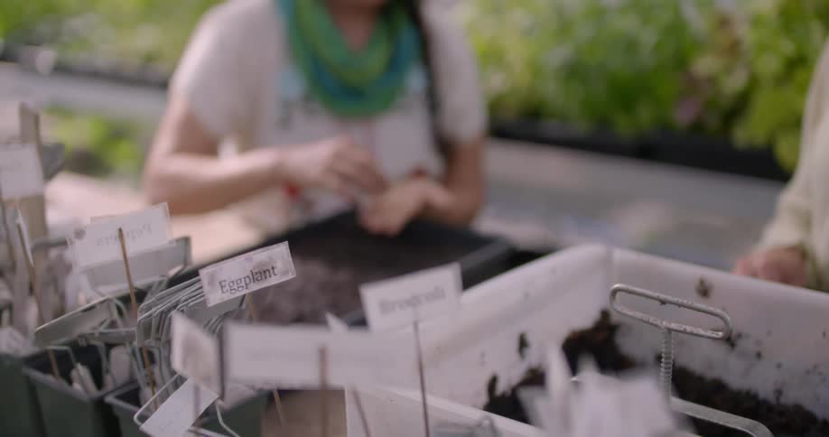 A batch of seeds are getting labeled