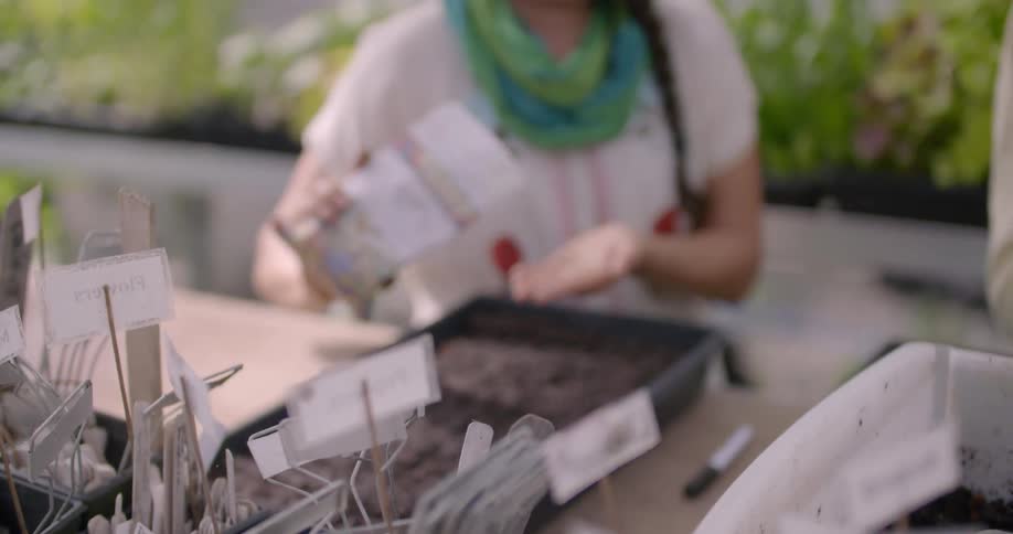 A woman pours some seeds in her hand to plant them