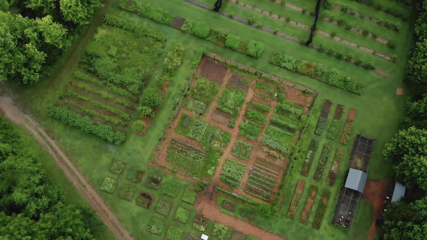 There is a large farm below with many things neatly planted