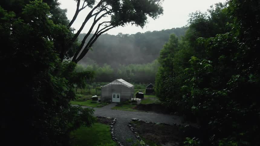 A greenhouse is surrounded by trees