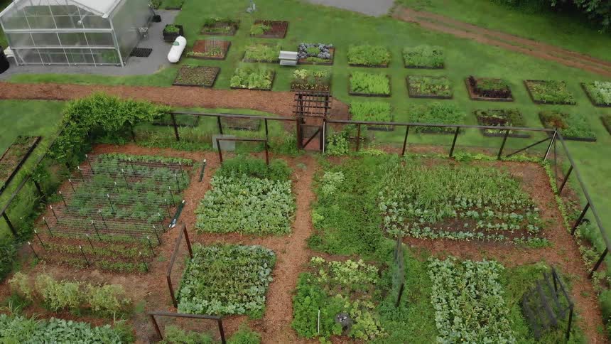 Large garden and a small greenhouse