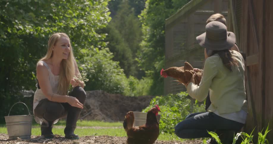 A family are in the garden picking up the chickens