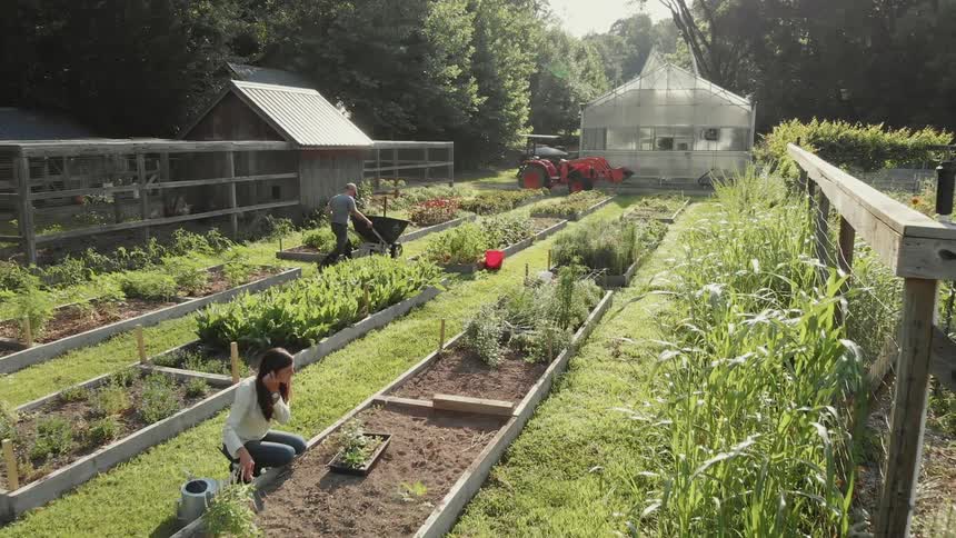 A person is pushing a wheelbarrow in a garden as a woman works