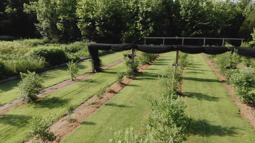 A large garden is being tended to